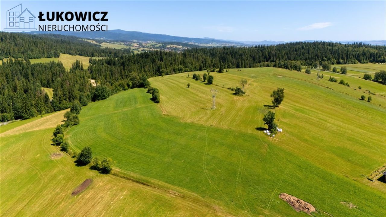 Działka leśna Pieniążkowice. Zdjęcie 3