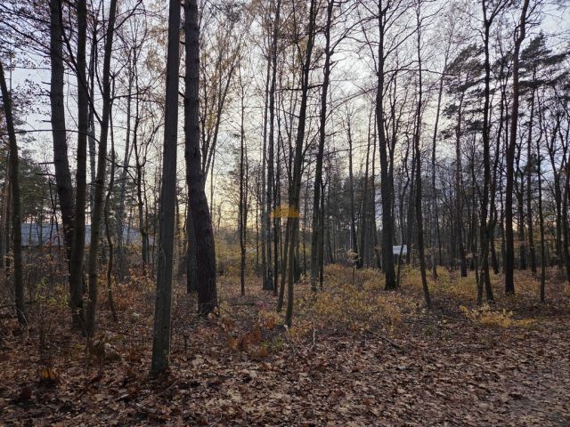 Działka budowlana Warszawa Wawer. Zdjęcie 2