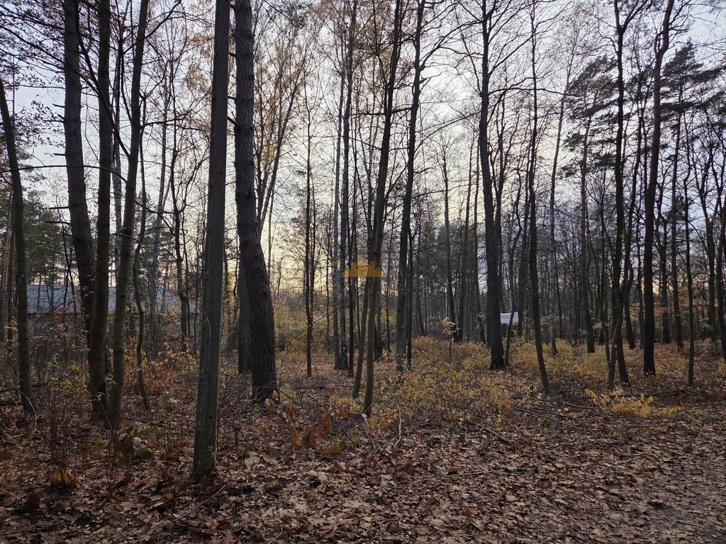 Działka budowlana Warszawa Wawer. Zdjęcie 2