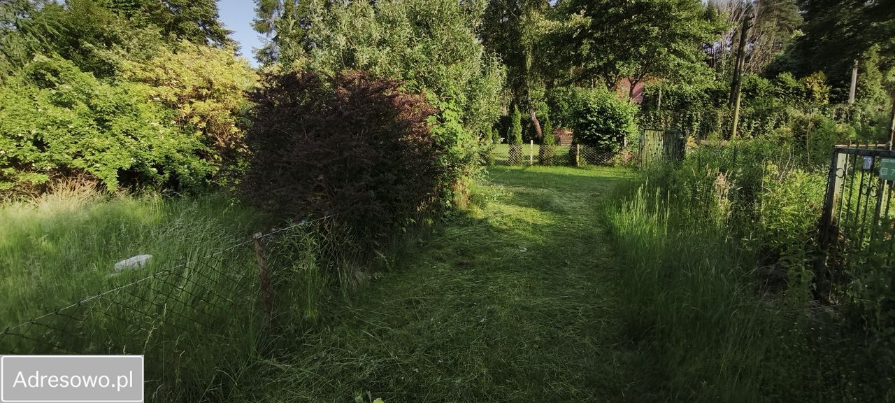 Działka rod Otwock, ul. Stefana Żeromskiego. Zdjęcie 5