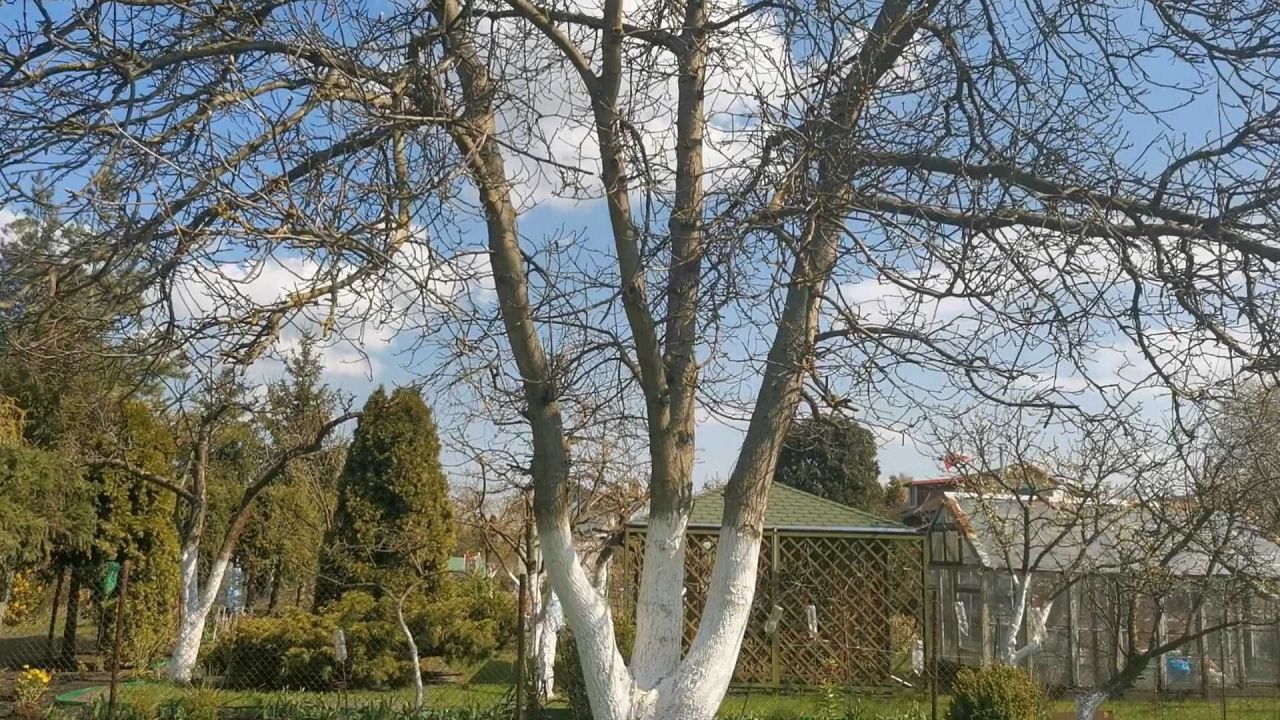 Działka rod Grudziądz. Zdjęcie 4