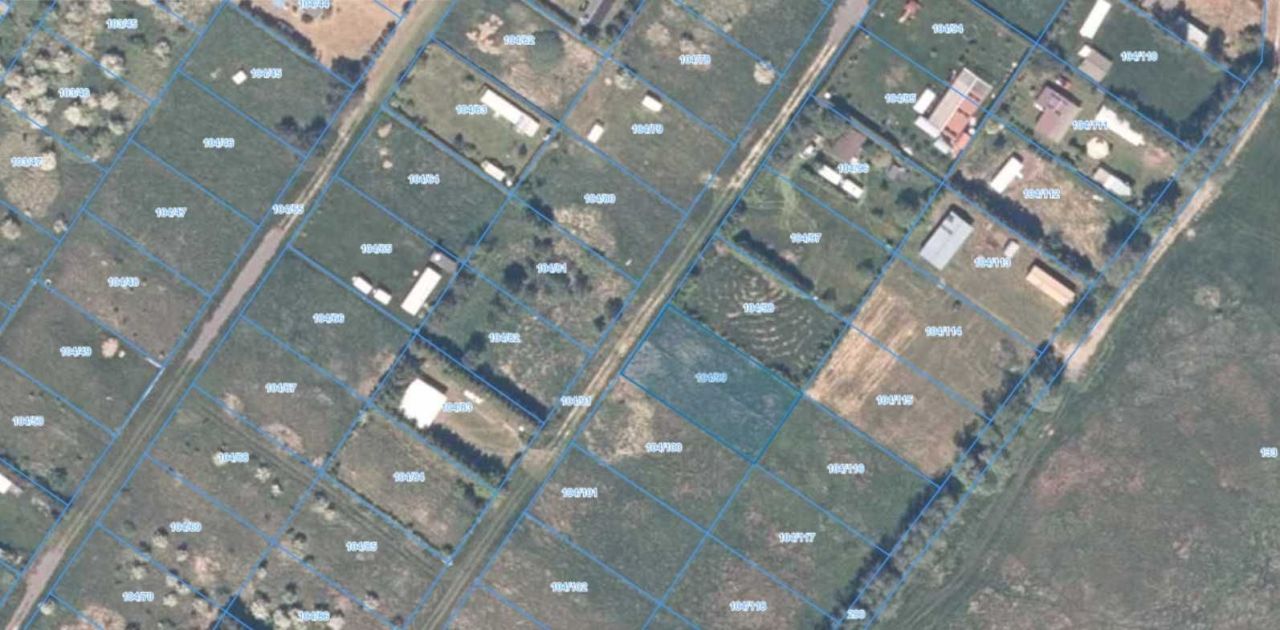 Działka leśna Niechorze. Zdjęcie 2