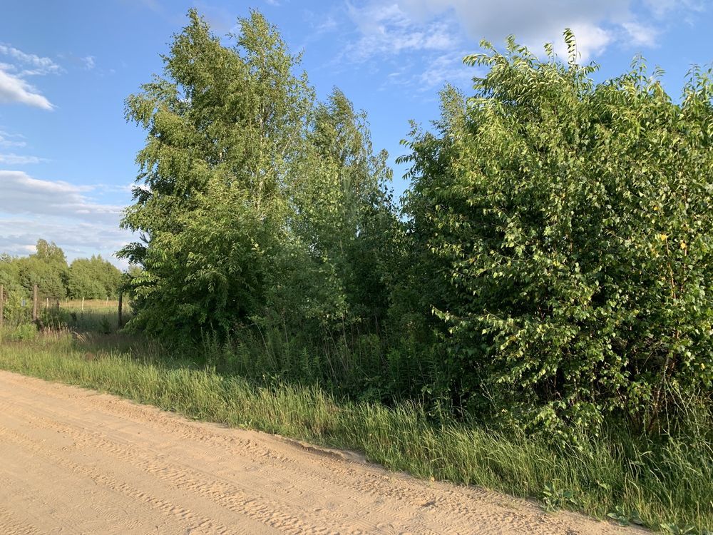 Działka rolno-budowlana Szumlin. Zdjęcie 4