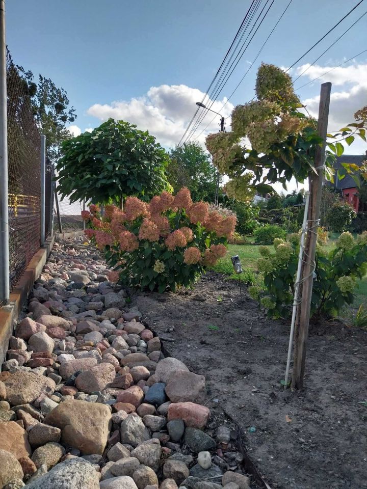 dom wolnostojący Złotniki Kujawskie. Zdjęcie 8