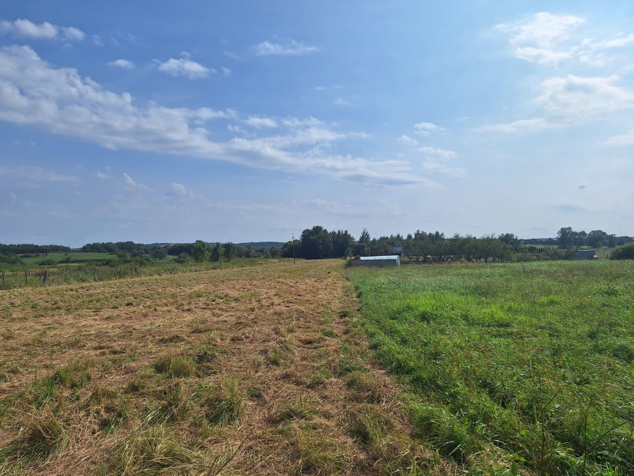 Działka rolno-budowlana Elżbiecin. Zdjęcie 3