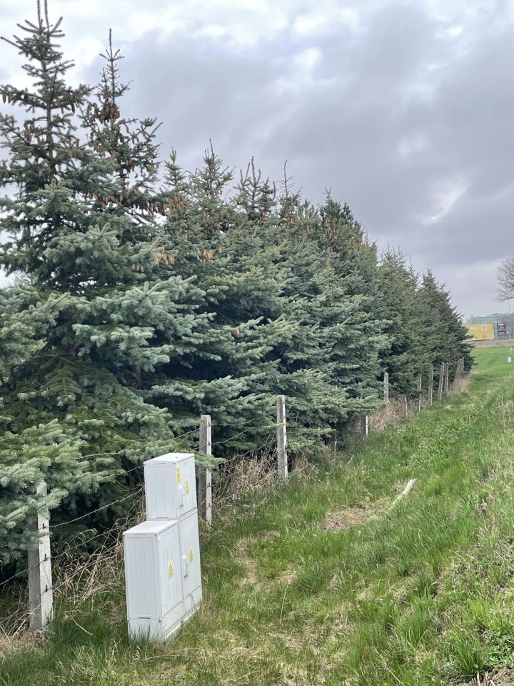 Działka rolna Nowa Wieś Ełcka. Zdjęcie 3