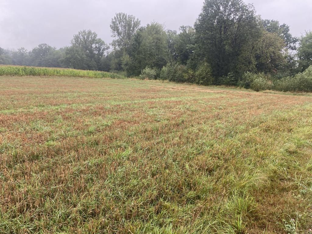 Działka budowlana Wola Łużańska