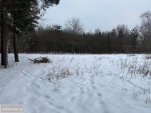 Działka budowlana Chylice, ul. Chłodna. Zdjęcie 1