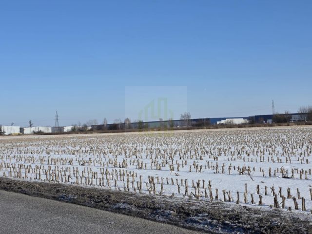 Działka inwestycyjna Błonie, ul. Sochaczewska. Zdjęcie 9