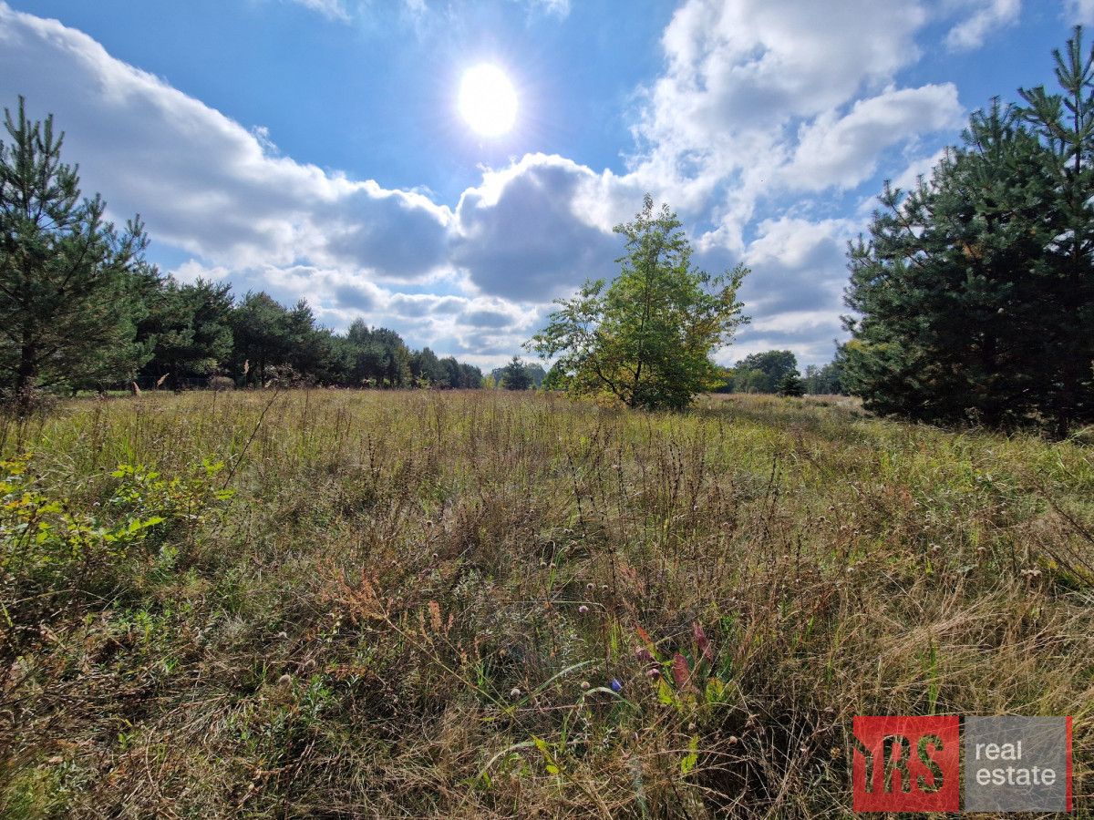 Działka rekreacyjna Sikory, ul. Brzozowa. Zdjęcie 2