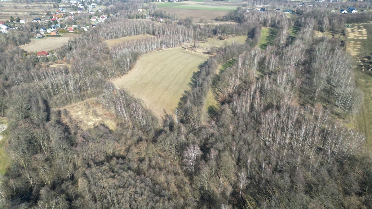 Działka inwestycyjna Zakrzów. Zdjęcie 6