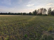 Działka rolna Faryny. Zdjęcie 4