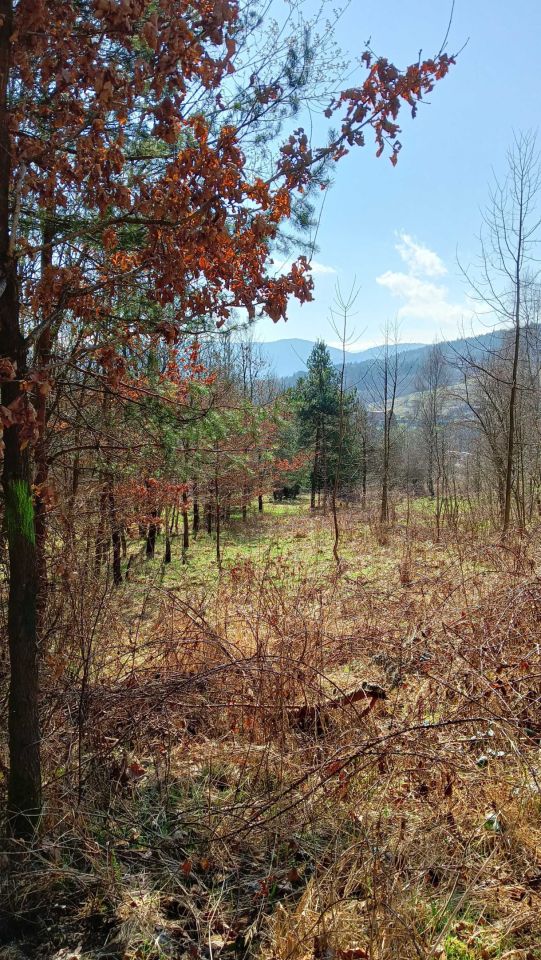 Działka rolna Sucha Beskidzka, ul. Widokowa. Zdjęcie 3