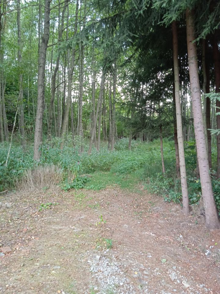 Działka budowlana Błędowa Tyczyńska. Zdjęcie 6