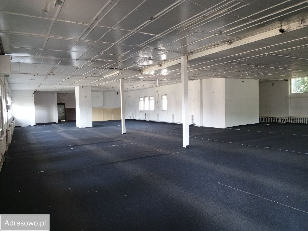 Lokal Głubczyce, ul. Wałowa. Zdjęcie 5