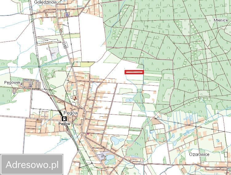 Działka rolna Pęgów. Zdjęcie 3