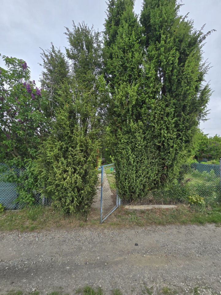 Działka rekreacyjna Głuchołazy. Zdjęcie 4