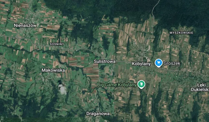 Działka leśna Sulistrowa