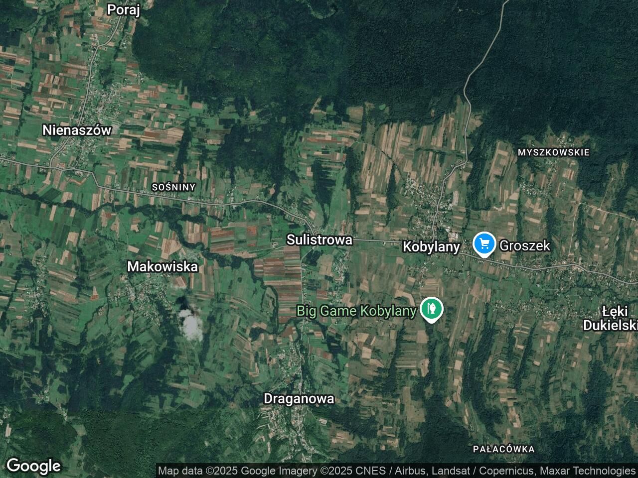 Działka leśna Sulistrowa