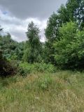 Działka rolna Nowa Jedlanka. Zdjęcie 1