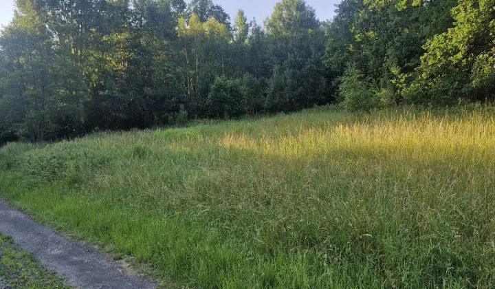 Działka budowlana Zawidów, ul. Warszawska