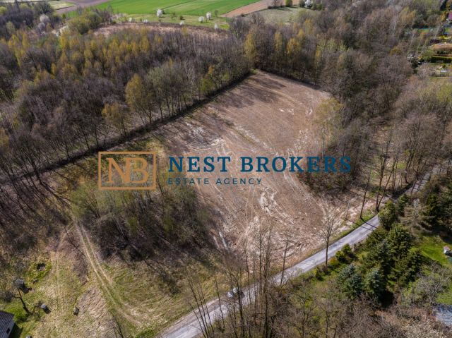 Działka inwestycyjna Młodziejowice. Zdjęcie 4
