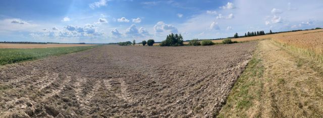 Działka rolno-budowlana Krasne Ryczka. Zdjęcie 1