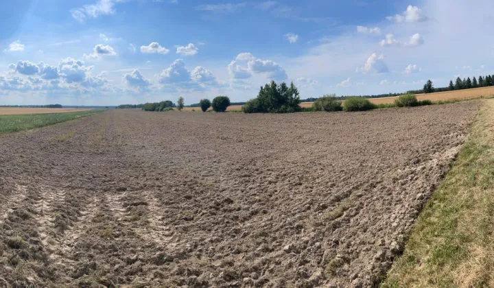 Działka rolno-budowlana Krasne Ryczka