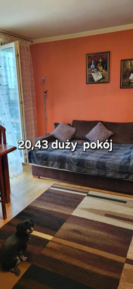 Mieszkanie 3-pokojowe Morąg, ul. Leśna