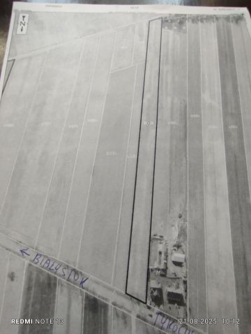 Działka rolno-budowlana Złotoria. Zdjęcie 1