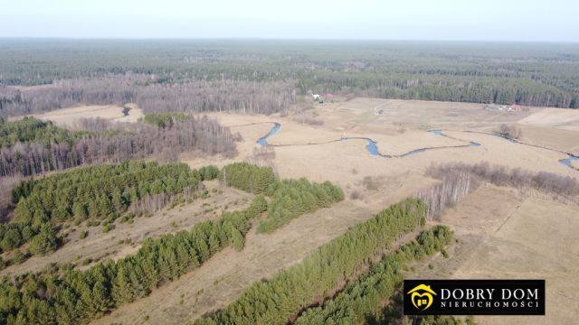 dom wolnostojący, 8 pokoi Strzelcowizna. Zdjęcie 17