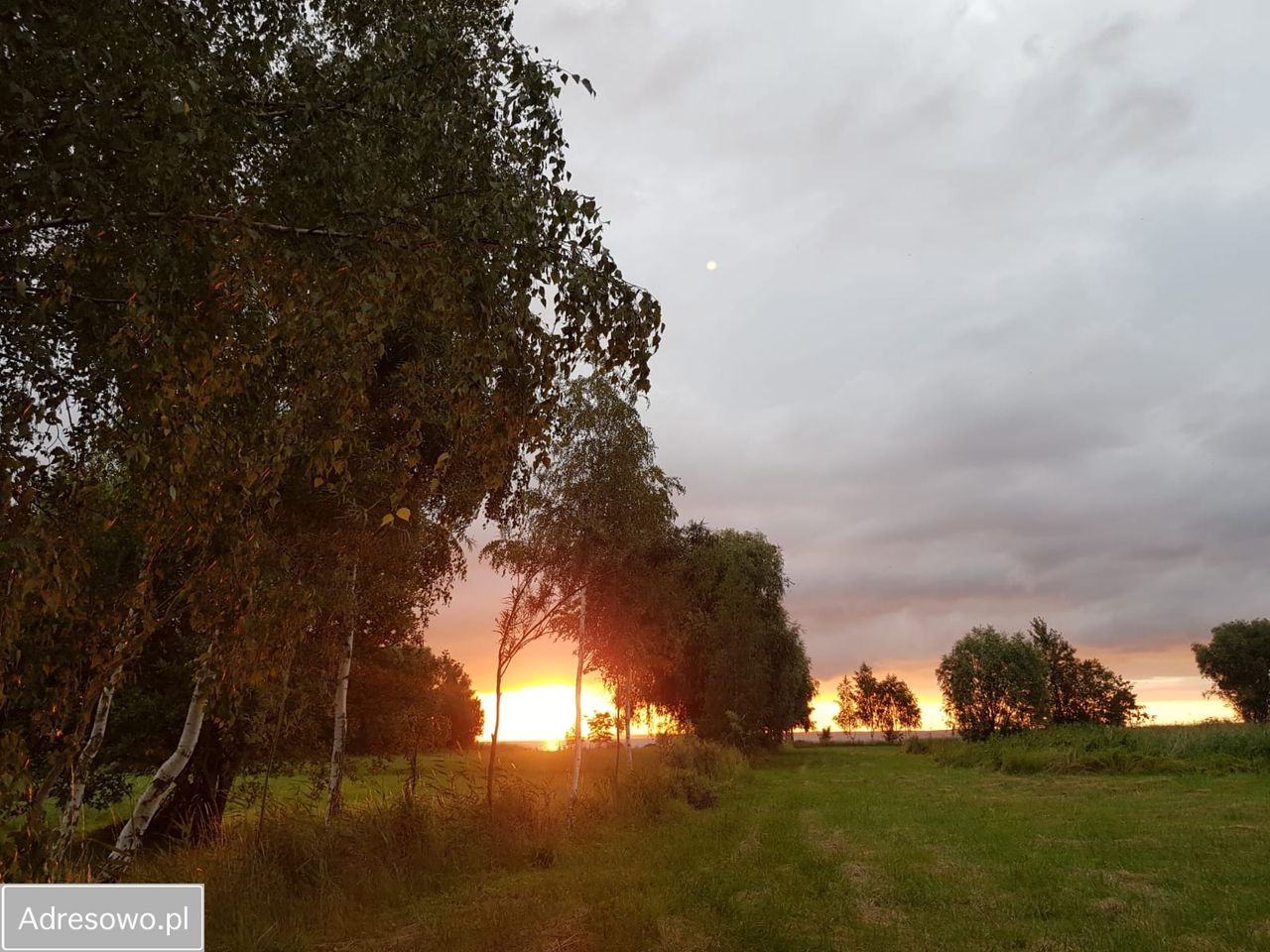 Działka inwestycyjna Suchacz. Zdjęcie 11