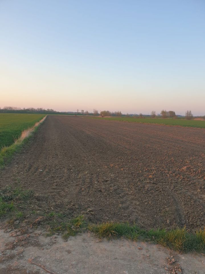 Działka budowlana Górki. Zdjęcie 2