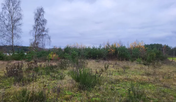 Działka budowlana Chwaszczyno Rewerenda, ul. Rewerenda