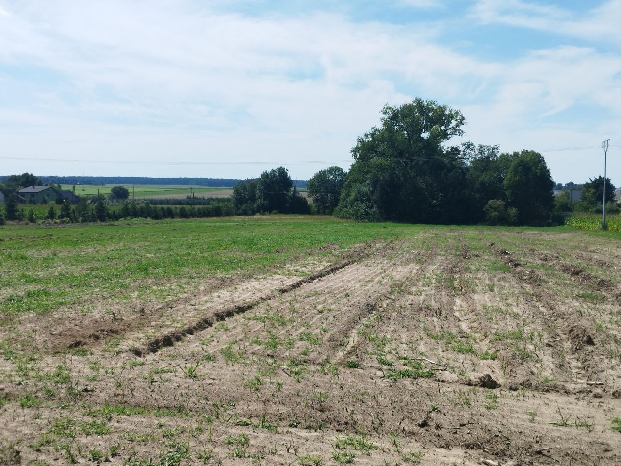 Działka rolno-budowlana Koza Wielka. Zdjęcie 3