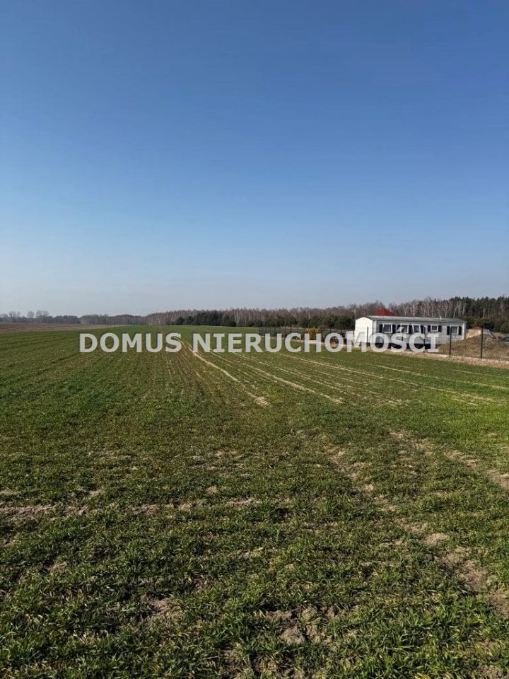Działka budowlana Złotniki. Zdjęcie 7
