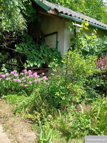 Działka rod Lusina. Zdjęcie 1