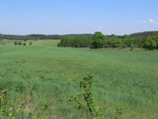 Działka rolno-budowlana Kosewo Kosewo Górne. Zdjęcie 1