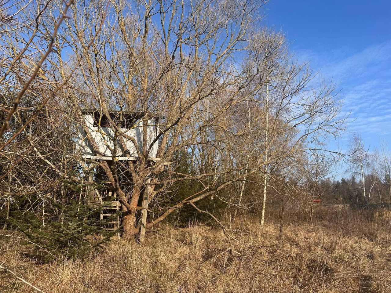 Działka budowlana Pomlewo, ul. Szkolna. Zdjęcie 6