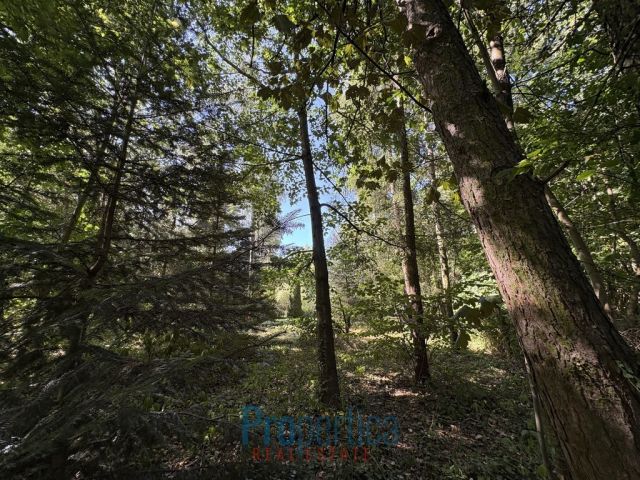 Działka budowlana Konstancin-Jeziorna, ul. Tadeusza Kościuszki. Zdjęcie 12