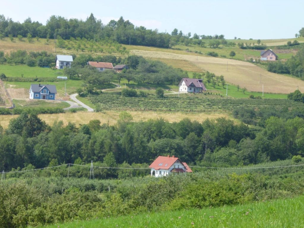 dom wolnostojący Czerniec