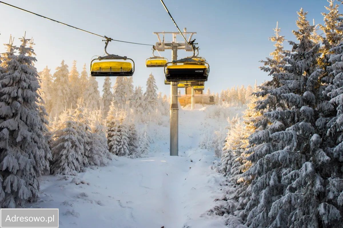 Lokal Sienna. Zdjęcie 6