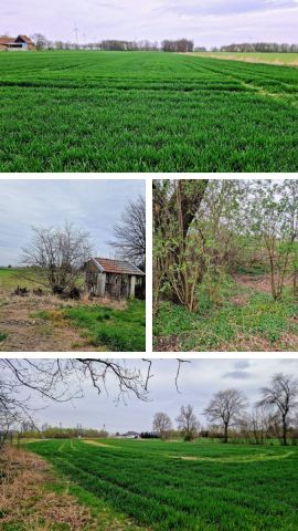 Działka siedliskowa Nowa Wieś Złotoryjska. Zdjęcie 10