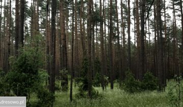 Działka rolno-budowlana Karwica
