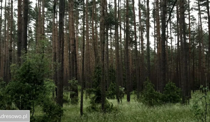 Działka rolno-budowlana Karwica