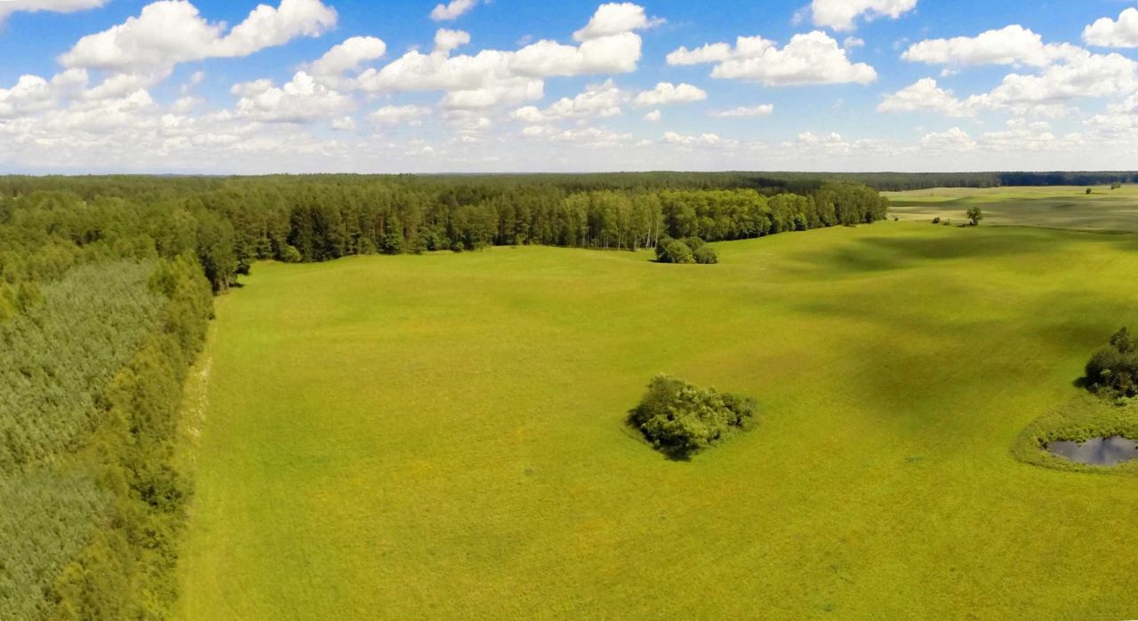 Działka budowlana Kozłowo. Zdjęcie 6