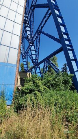 Działka inna Wodzisław Śląski Jedłownik, ul. Górnicza. Zdjęcie 4