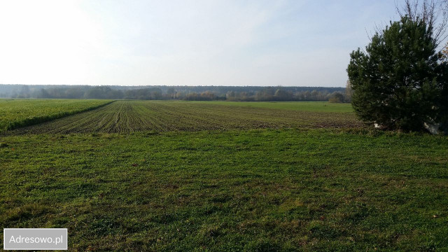 Działka rolna Paprotnia. Zdjęcie 1