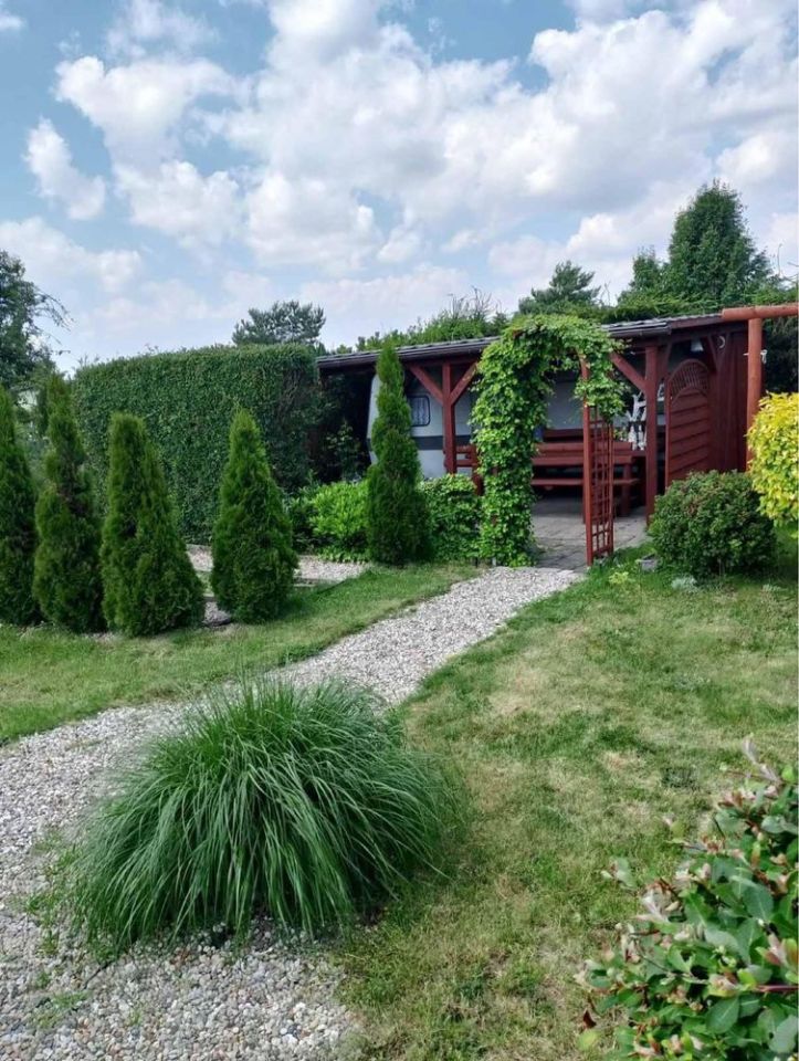 Działka rod Międzychód. Zdjęcie 1