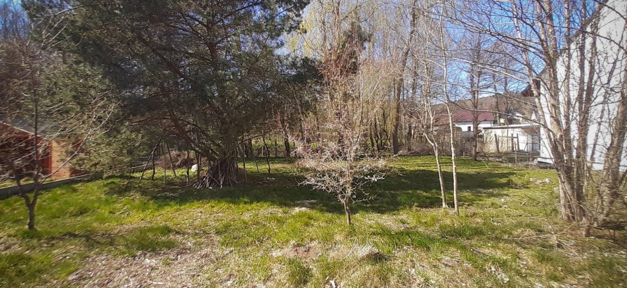 Działka budowlana Opalino. Zdjęcie 2